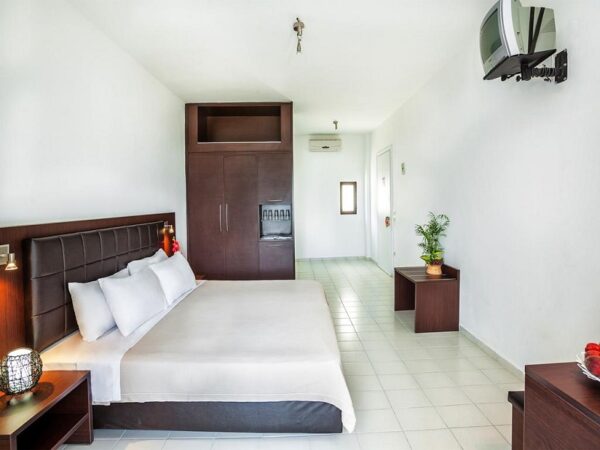 Dolphin Beach 5 Dolphin Beach 5