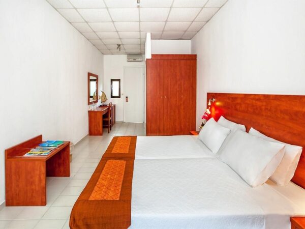 Dolphin Beach 6 Dolphin Beach 6