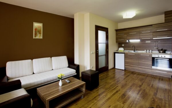 Casa Karina – living room in onebedroom appartment