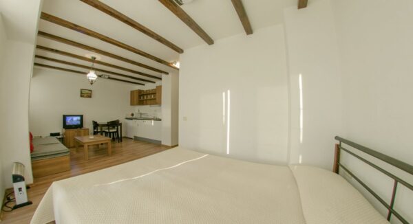 Green Life Pamporovo – twin studio