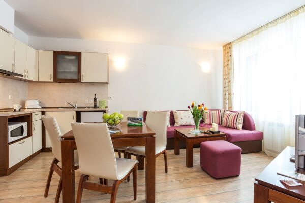 Stream Resort – living room and kitchen box