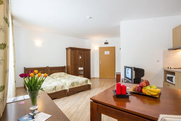 Stream Resort – studio