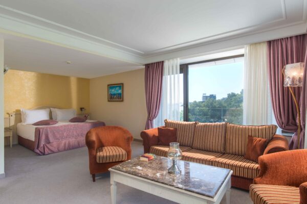 suite-park view